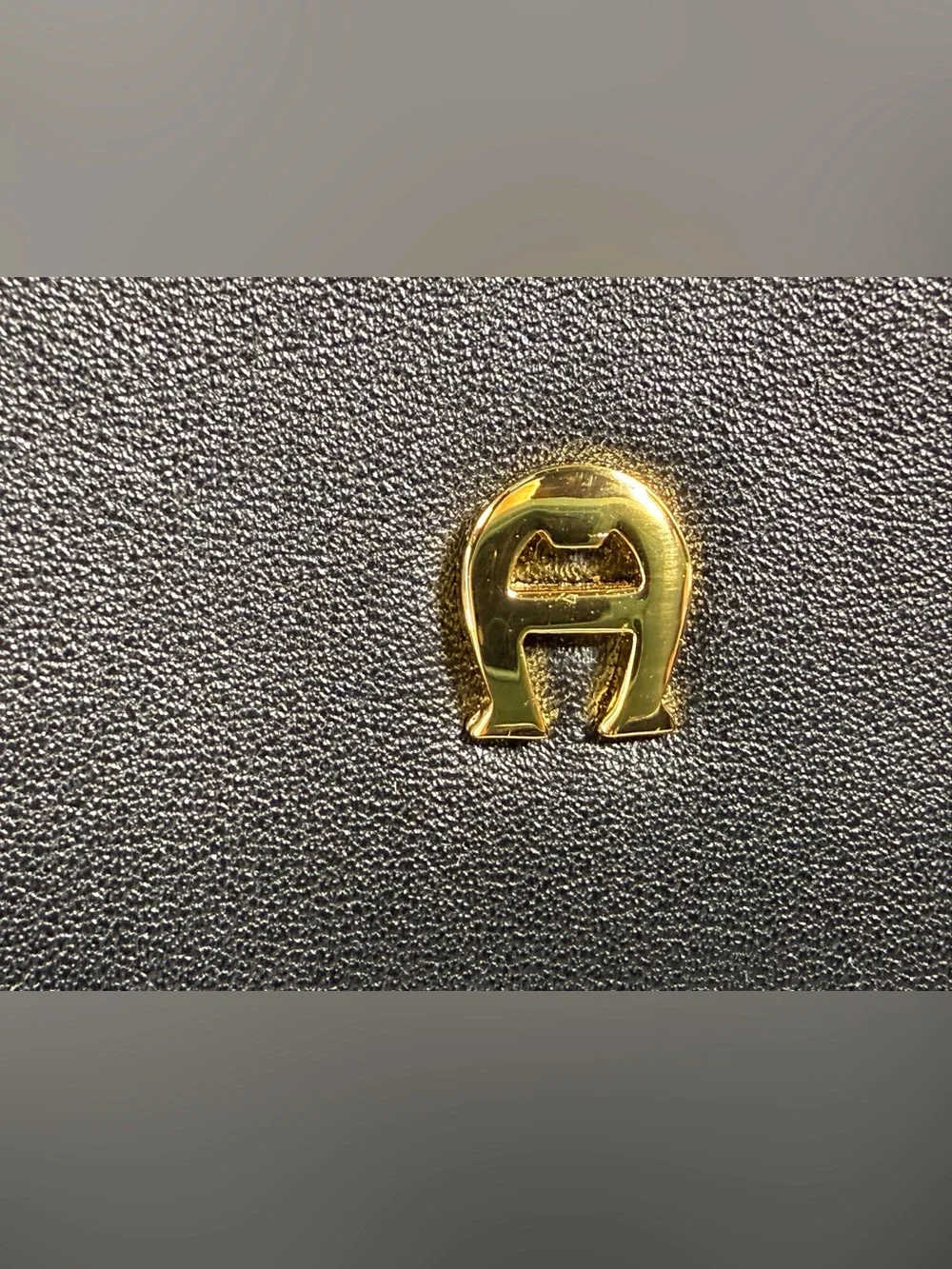Etienne Aigner Black Crossbody Bag with Gold Hardware